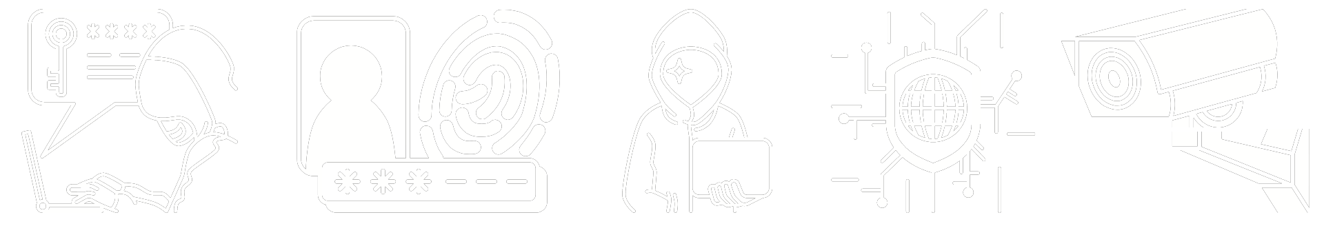 One line of icons picturing the privacy concern