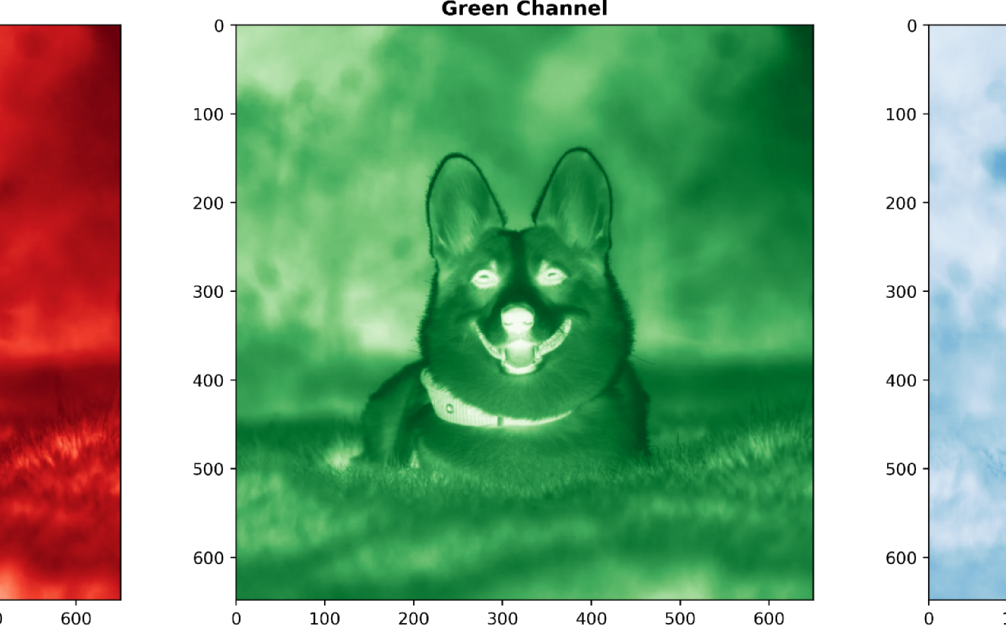 RGB channels illustration of dog