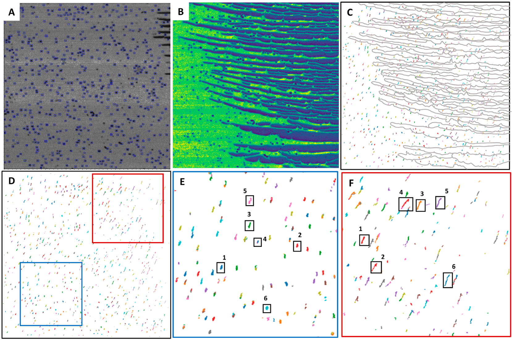 Featured image of post Quantifying nanoparticles through deep learning